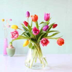 Tulpen Mix brievenbusbloemen