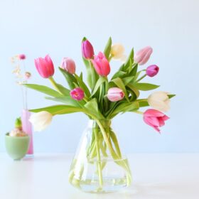 Tulpen Pastel brievenbusbloemen